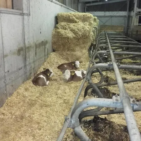 Gospodarstwo agroturystyczne Burtscherhof In Braz Ausserbraz