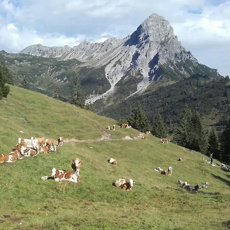 Burtscherhof In Braz *